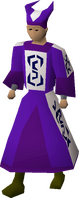 A male player wearing enchanted robes.