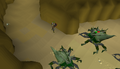 A safespot in the Kalphite Cave, near the entrance, after losing aggression.