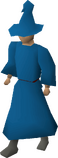 A player wearing blue wizard robes.